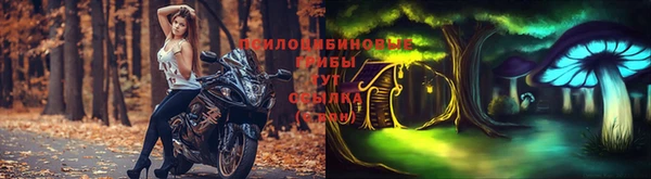 хмурый Зерноград