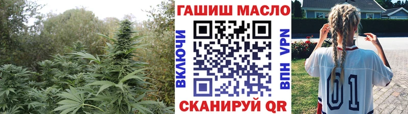 ТГК Wax  Купить где  Ивангород 