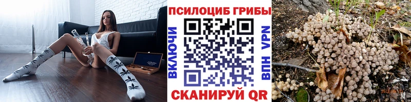 Купить где  Ивангород  Псилоцибиновые грибы прущие грибы 